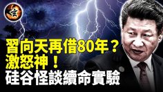 [ID: 4vaU8f3Z014] Youtube Automatic