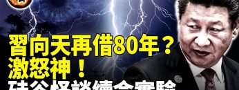 [ID: 4vaU8f3Z014] Youtube Automatic