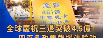 [ID: I3G1DVFDGR4] Youtube Automatic