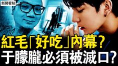 私密：[ID: lq9siJ5qmys] Youtube Automatic