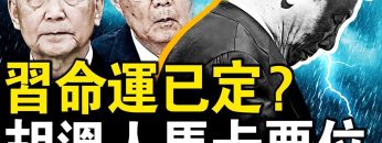 [ID: ONDfjV9yak4] Youtube Automatic