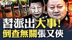 [ID: WlXNFiml3D0] Youtube Automatic