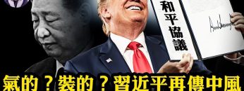 [ID: 0fqePpgMw5Q] Youtube Automatic