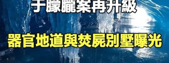 [ID: 8MhhWX48C5o] Youtube Automatic