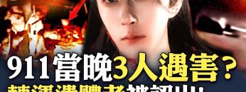 私密：[ID: ft19LHj4Icw] Youtube Automatic