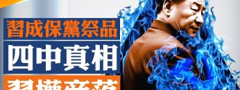 [ID: OMwk1h7jzbg] Youtube Automatic