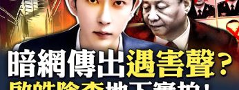 私密：[ID: uJEg1IuQmt4] Youtube Automatic