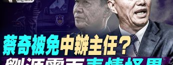 私密：[ID: BWwG1t2mP24] Youtube Automatic