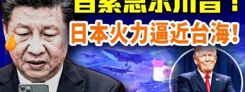 [ID: c_dUFO5uki8] Youtube Automatic