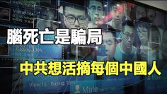 [ID: ngbA1gtzy4s] Youtube Automatic