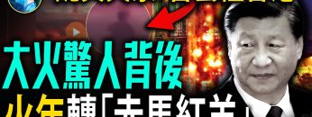 [ID: OyeLFmJ-vPc] Youtube Automatic