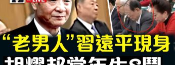 私密：[ID: qzWrN32Bcp8] Youtube Automatic