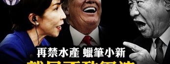 [ID: SsH5nD0bWn0] Youtube Automatic