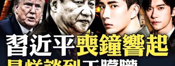 [ID: 1uTuUmmCRs4] Youtube Automatic