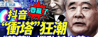 私密：[ID: 5nizZ4T_xOk] Youtube Automatic