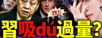 私密：[ID: 6OqAErSrCTU] Youtube Automatic