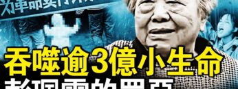 私密：[ID: 7ZUaqCQXKwY] Youtube Automatic