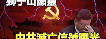 [ID: cEIokXd9JjI] Youtube Automatic