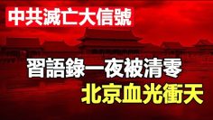 [ID: EXerWDmpdPc] Youtube Automatic