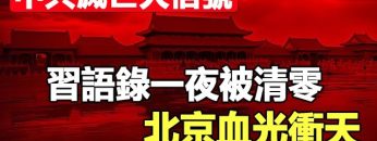 [ID: EXerWDmpdPc] Youtube Automatic