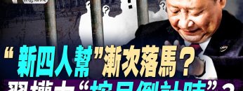 [ID: gWS4BVLFQvE] Youtube Automatic