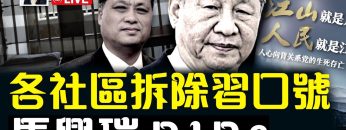 [ID: hmdc7eEGeyw] Youtube Automatic