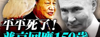 私密：[ID: JP-3ARvM2rE] Youtube Automatic