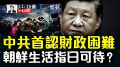 [ID: krWSzxXxxPE] Youtube Automatic