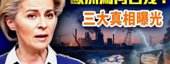 [ID: nau0AkGonMM] Youtube Automatic