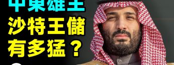 [ID: QtIo7nm0shY] Youtube Automatic