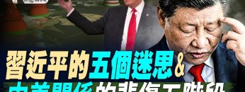 [ID: S_ZKp2RkJt8] Youtube Automatic