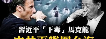 [ID: Vvq_DKqF7s4] Youtube Automatic