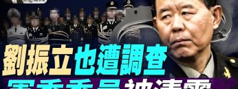 私密：[ID: xEAL0FabN6E] Youtube Automatic