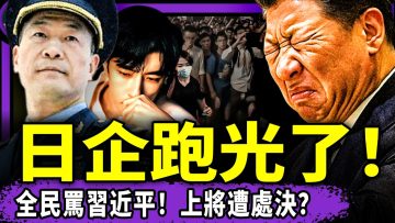 [ID: zqluf61P1gc] Youtube Automatic