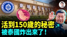 [ID: 5m89U-vh9XQ] Youtube Automatic