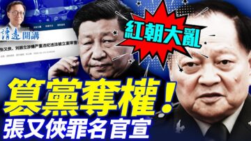 私密：[ID: 9eNh00VwDXE] Youtube Automatic