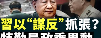 [ID: A-jwVDYXw9o] Youtube Automatic