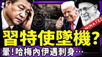 私密：[ID: A2I3GQAFOQk] Youtube Automatic