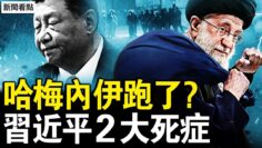 [ID: EEci4tNYe8s] Youtube Automatic