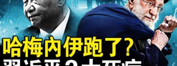 [ID: EEci4tNYe8s] Youtube Automatic