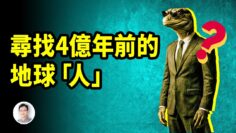 [ID: fDr-_H_GYUQ] Youtube Automatic