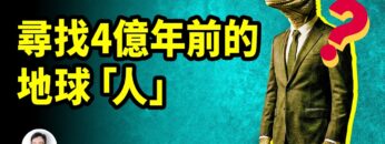 [ID: fDr-_H_GYUQ] Youtube Automatic