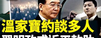 [ID: iWSDro1IqR8] Youtube Automatic