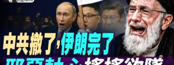 [ID: iYqRQnR4GxM] Youtube Automatic