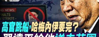 [ID: lVchpu4EsTo] Youtube Automatic