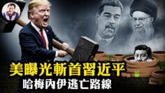 [ID: Ly-Yn29Acws] Youtube Automatic