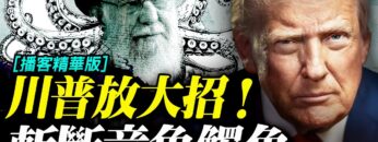 私密：[ID: MMDnFSfeaIE] Youtube Automatic