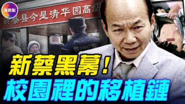 [ID: QUNKMWJ45JY] Youtube Automatic