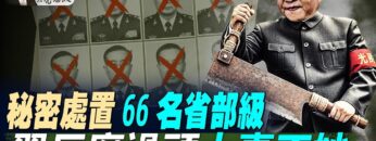 [ID: QwgkpvLIzaI] Youtube Automatic