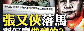 私密：[ID: sD-ngoRi5hU] Youtube Automatic